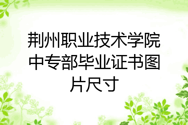 荆州职业技术学院中专部毕业证书图片尺寸