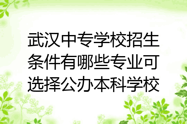 武汉中专学校招生条件有哪些专业可选择公办本科学校