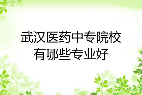武汉医药中专院校有哪些专业好