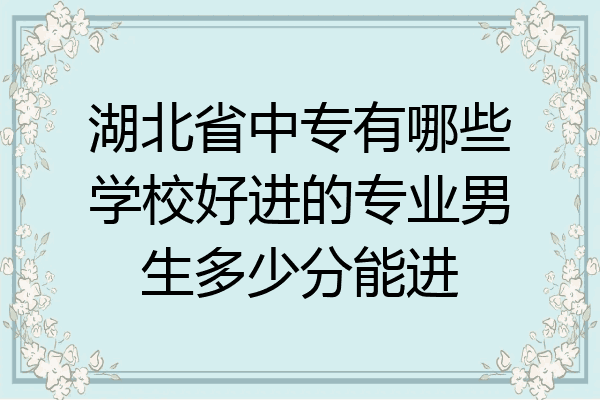 湖北省中专有哪些学校好进的专业男生多少分能进