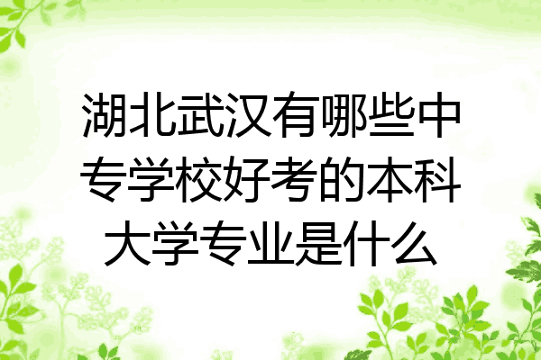 湖北武汉有哪些中专学校好考的本科大学专业是什么