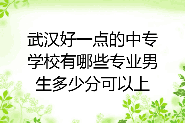 武汉好一点的中专学校有哪些专业男生多少分可以上
