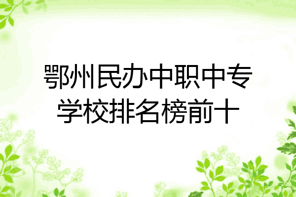 鄂州民办中职中专学校排名榜前十