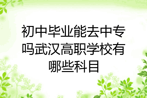 初中毕业能去中专吗武汉高职学校有哪些科目