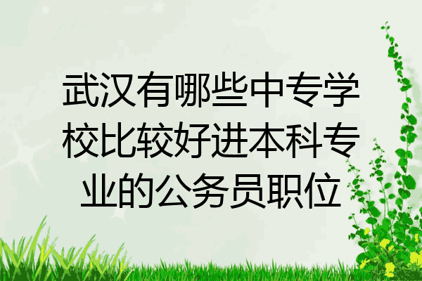 武汉有哪些中专学校比较好进本科专业的公务员职位