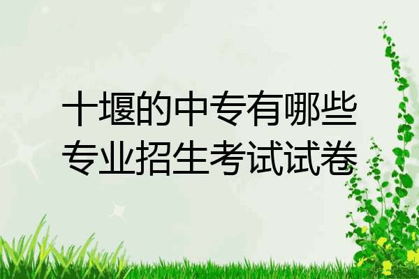 十堰的中专有哪些专业招生考试试卷