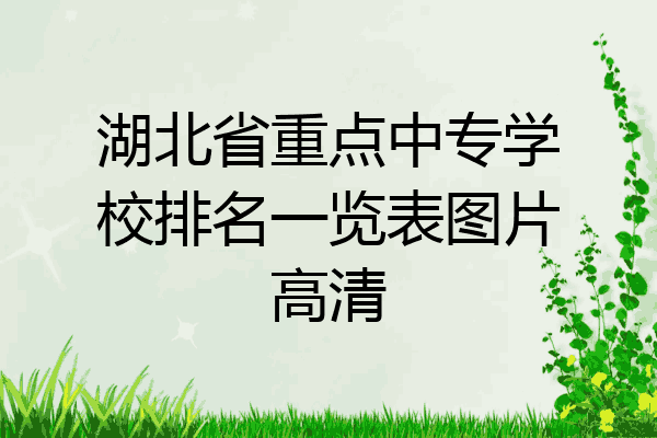 湖北省重点中专学校排名一览表图片高清