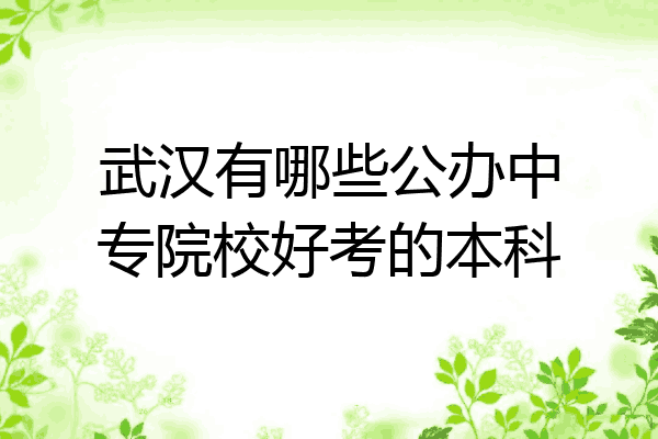 武汉有哪些公办中专院校好考的本科