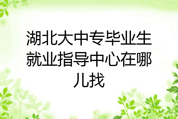 湖北大中专毕业生就业指导中心在哪儿找