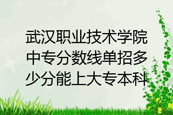 武汉职业技术学院中专分数线单招多少分能上大专本科