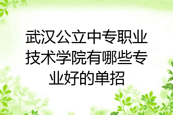 武汉公立中专职业技术学院有哪些专业好的单招