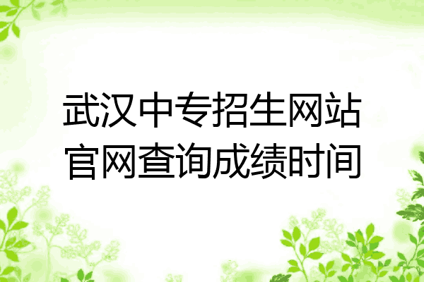 武汉中专招生网站官网查询成绩时间