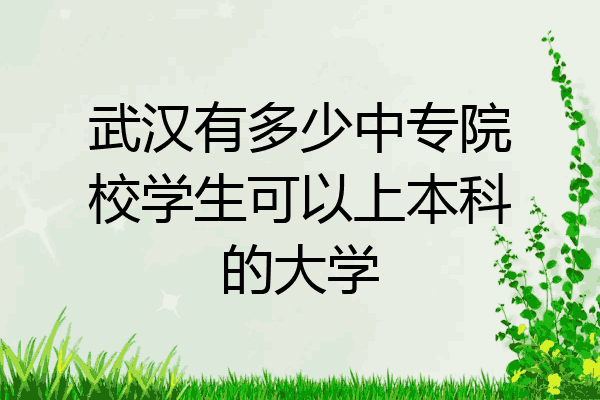 武汉有多少中专院校学生可以上本科的大学