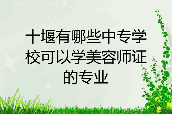 十堰有哪些中专学校可以学美容师证的专业