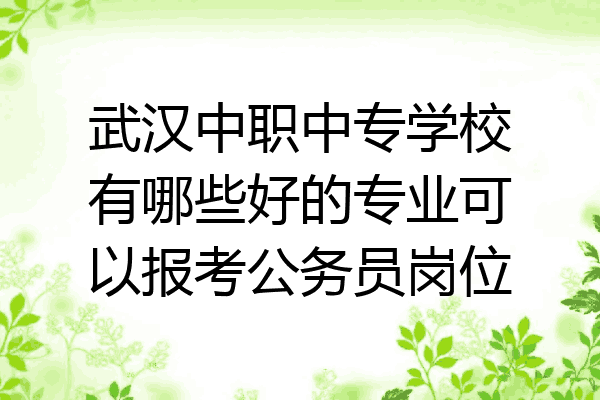 武汉中职中专学校有哪些好的专业可以报考公务员岗位