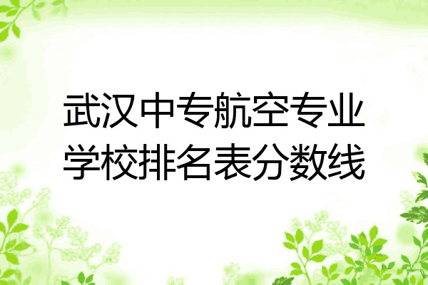 武汉中专航空专业学校排名表分数线