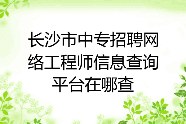 长沙市中专招聘网络工程师信息查询平台在哪查