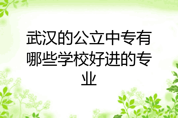 武汉的公立中专有哪些学校好进的专业