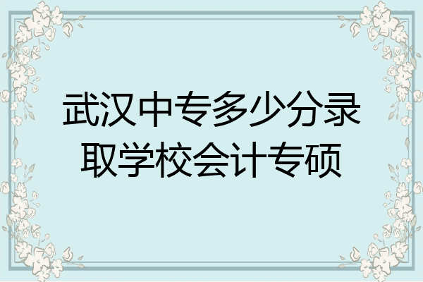 武汉中专多少分录取学校会计专硕