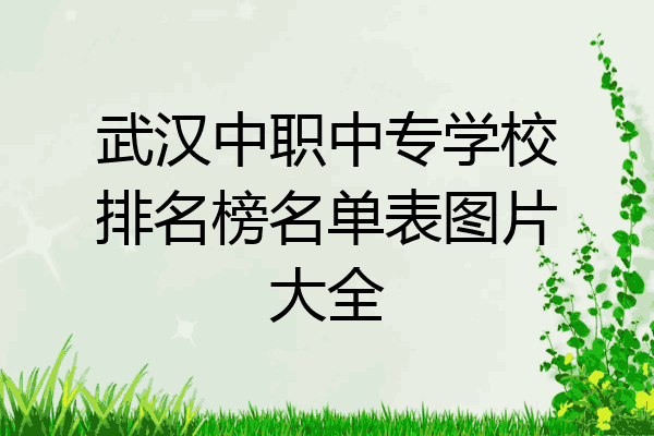 武汉中职中专学校排名榜名单表图片大全