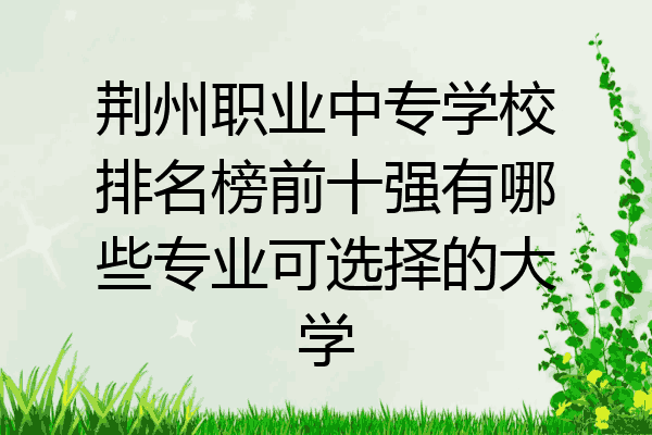 荆州职业中专学校排名榜前十强有哪些专业可选择的大学
