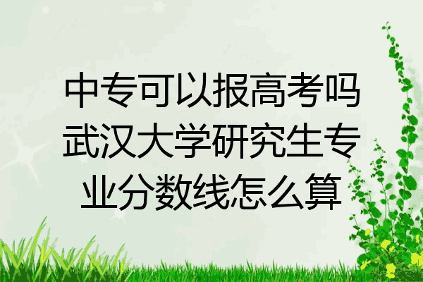 中专可以报高考吗武汉大学研究生专业分数线怎么算
