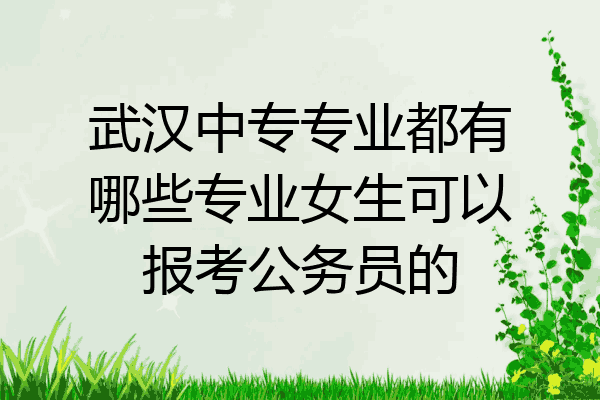 武汉中专专业都有哪些专业女生可以报考公务员的