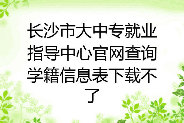 长沙市大中专就业指导中心官网查询学籍信息表下载不了