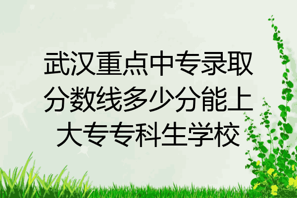 武汉重点中专录取分数线多少分能上大专专科生学校