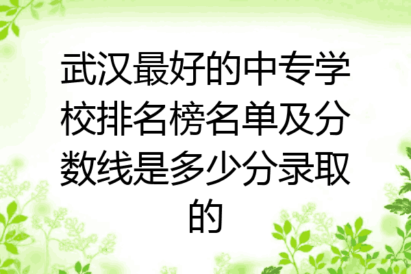 武汉最好的中专学校排名榜名单及分数线是多少分录取的