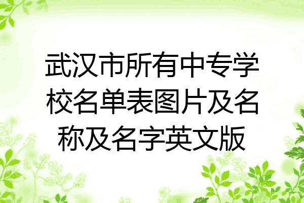 武汉市所有中专学校名单表图片及名称及名字英文版