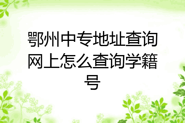 鄂州中专地址查询网上怎么查询学籍号