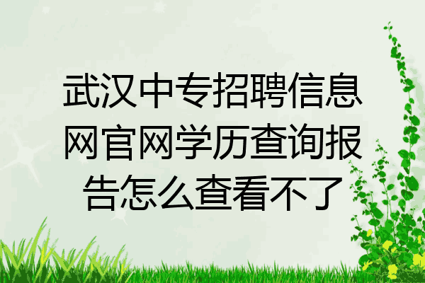 武汉中专招聘信息网官网学历查询报告怎么查看不了