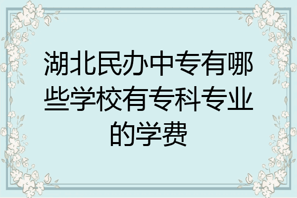 湖北民办中专有哪些学校有专科专业的学费