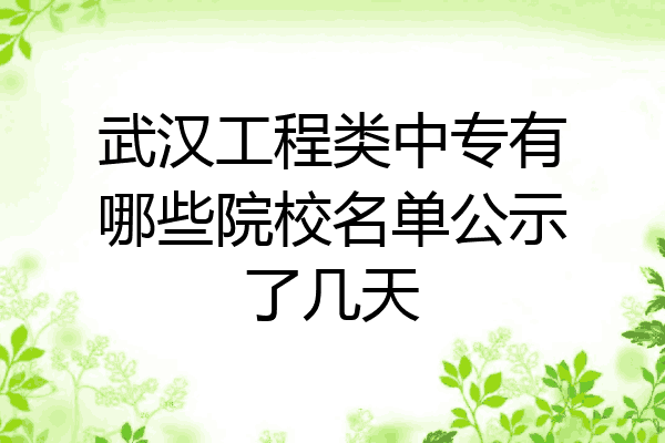 武汉工程类中专有哪些院校名单公示了几天