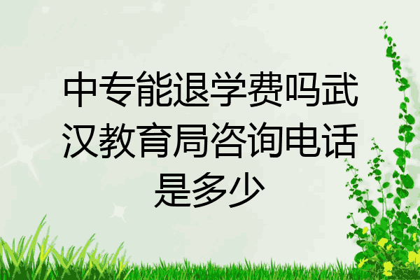 中专能退学费吗武汉教育局咨询电话是多少