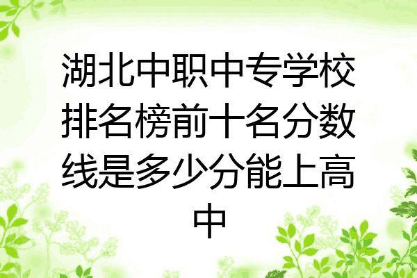 湖北中职中专学校排名榜前十名分数线是多少分能上高中