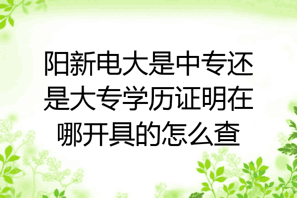 阳新电大是中专还是大专学历证明在哪开具的怎么查