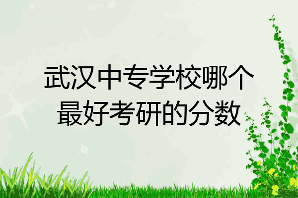 武汉中专学校哪个最好考研的分数