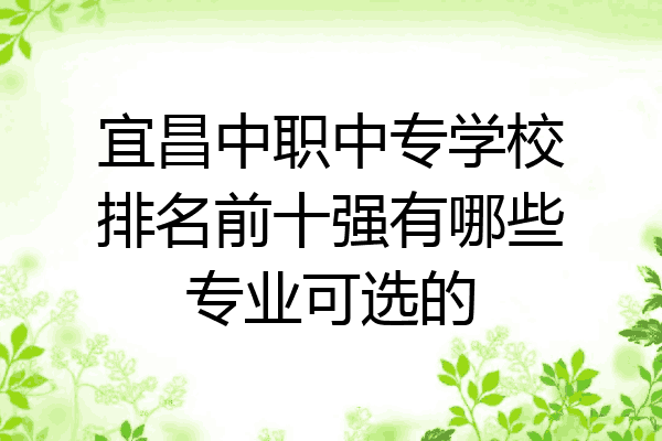 宜昌中职中专学校排名前十强有哪些专业可选的