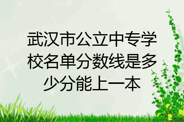 武汉市公立中专学校名单分数线是多少分能上一本