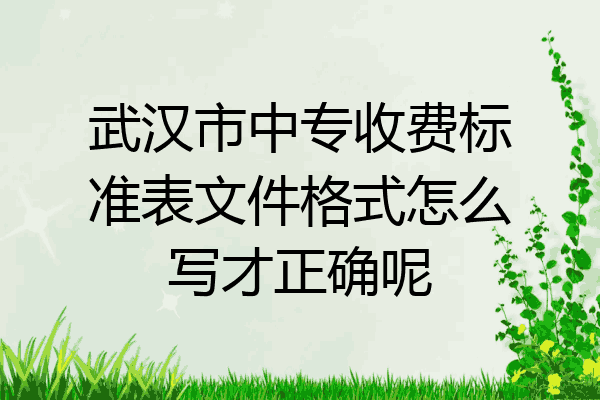 武汉市中专收费标准表文件格式怎么写才正确呢
