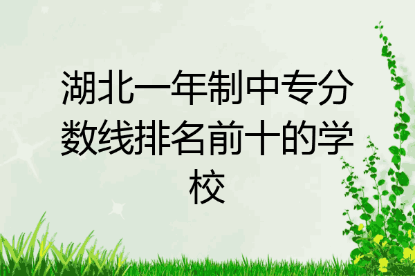 湖北一年制中专分数线排名前十的学校