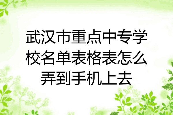 武汉市重点中专学校名单表格表怎么弄到手机上去