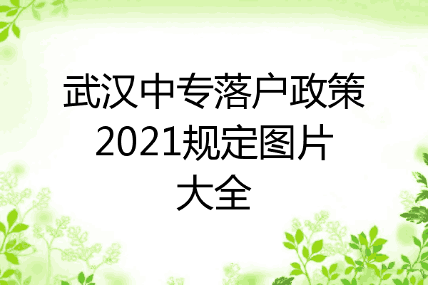 武汉中专落户政策2021规定图片大全