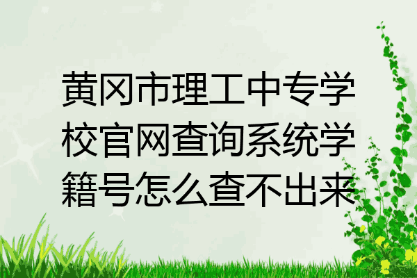 黄冈市理工中专学校官网查询系统学籍号怎么查不出来