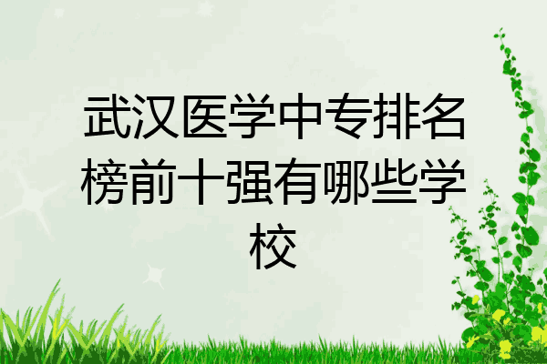 武汉医学中专排名榜前十强有哪些学校