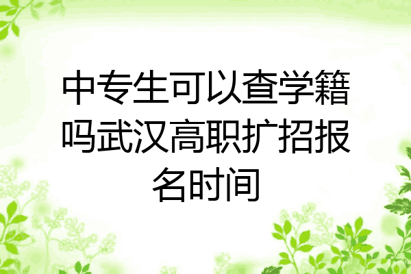 中专生可以查学籍吗武汉高职扩招报名时间