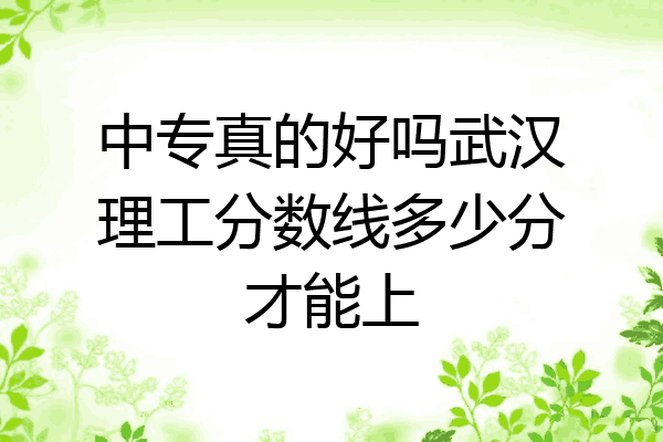中专真的好吗武汉理工分数线多少分才能上