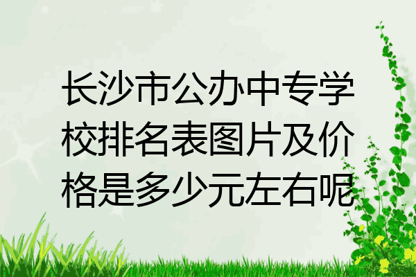 长沙市公办中专学校排名表图片及价格是多少元左右呢